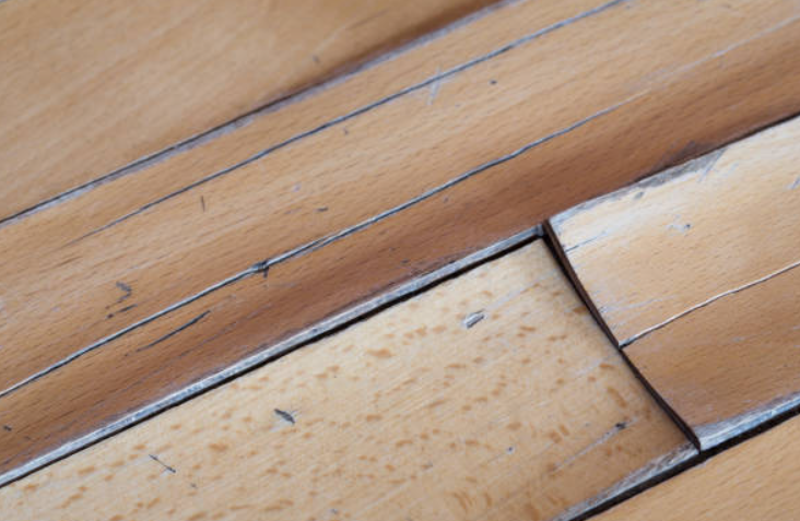 eastsussexflooring.co.uk|Wood Floor Restoration